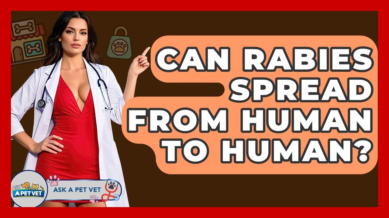 Can Rabies Spread From Human To Human? - Ask A Pet Vet