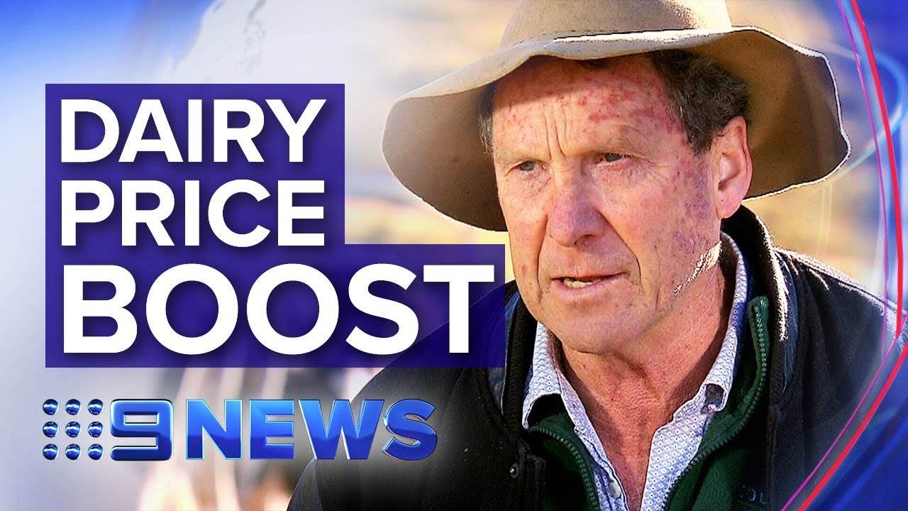 Struggling dairy farmers welcome rising milk prices | Nine News Australia