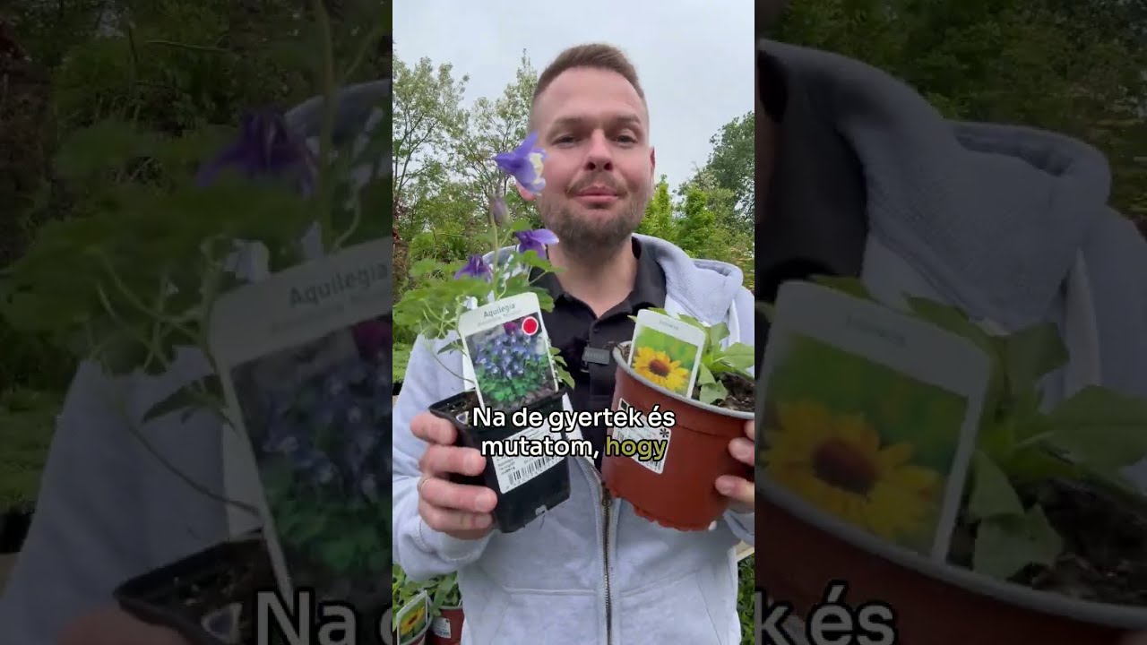 Évelő virágok hada vár! Nézz körül a kínálatunkban!
