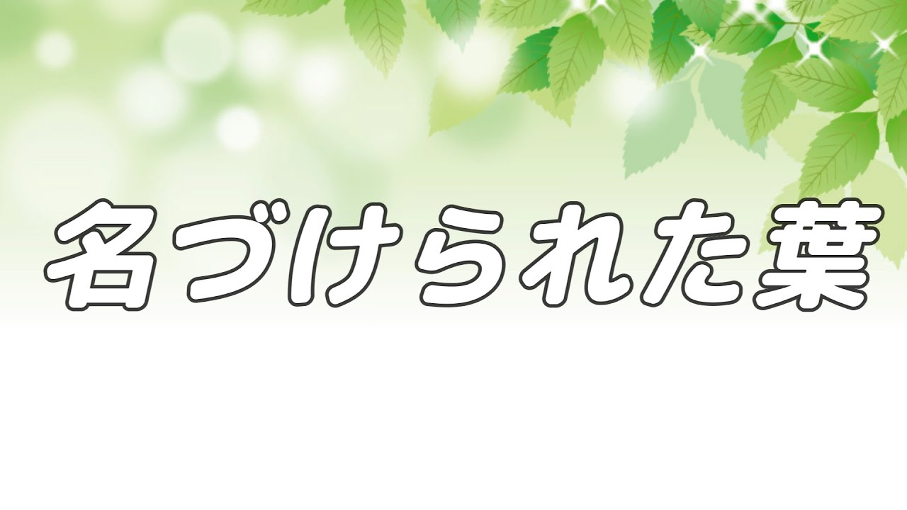 【合唱曲】名づけられた葉 / 混声三部合唱【歌詞付き】