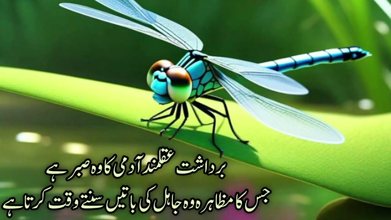 golden words in Urdu /Deep lines ,Urdu quotes/Zauq/ذوق/