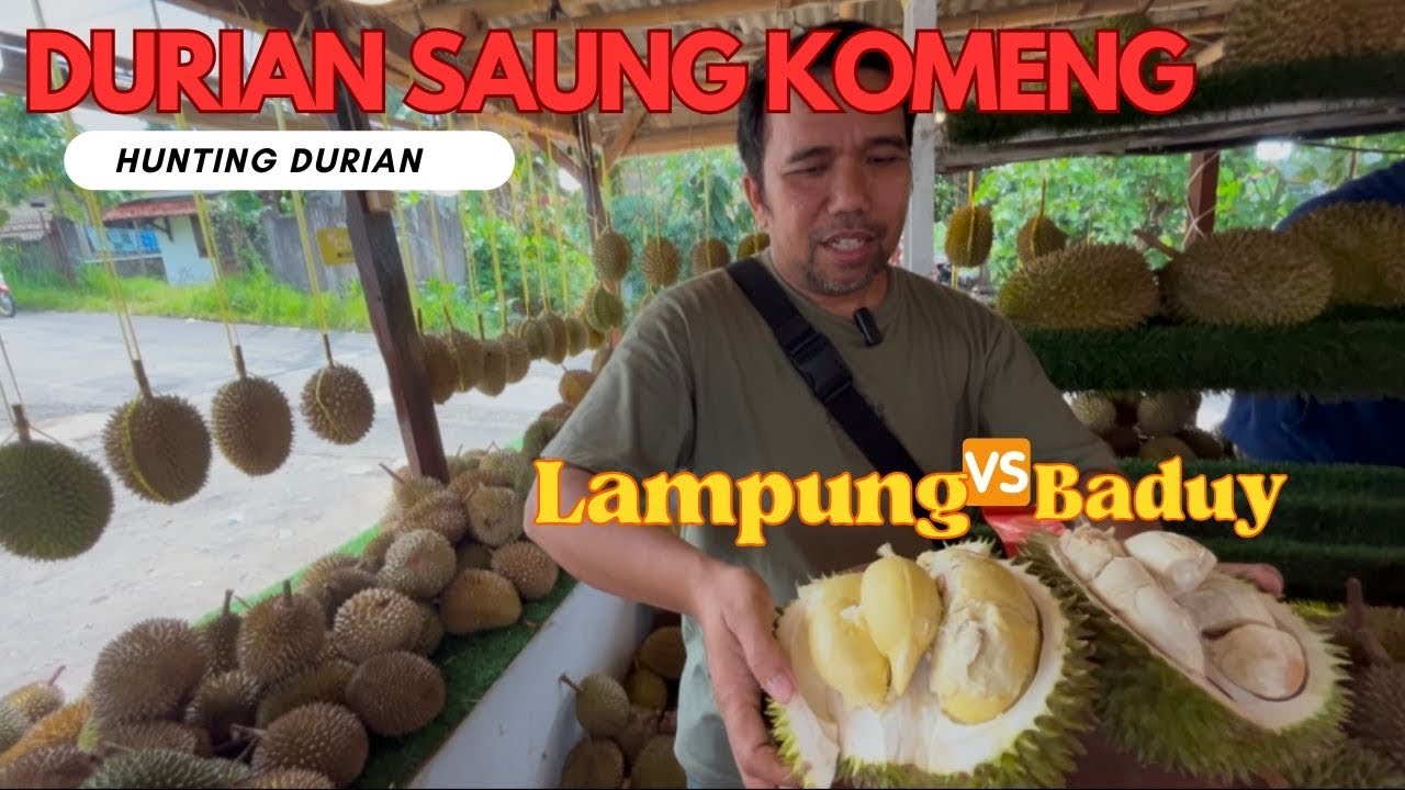 Durian Baduy Vs Lampung Sumatera... Enak Mana ya?? Harga Spesial Ultah Durian Saung Komeng🥳🤩