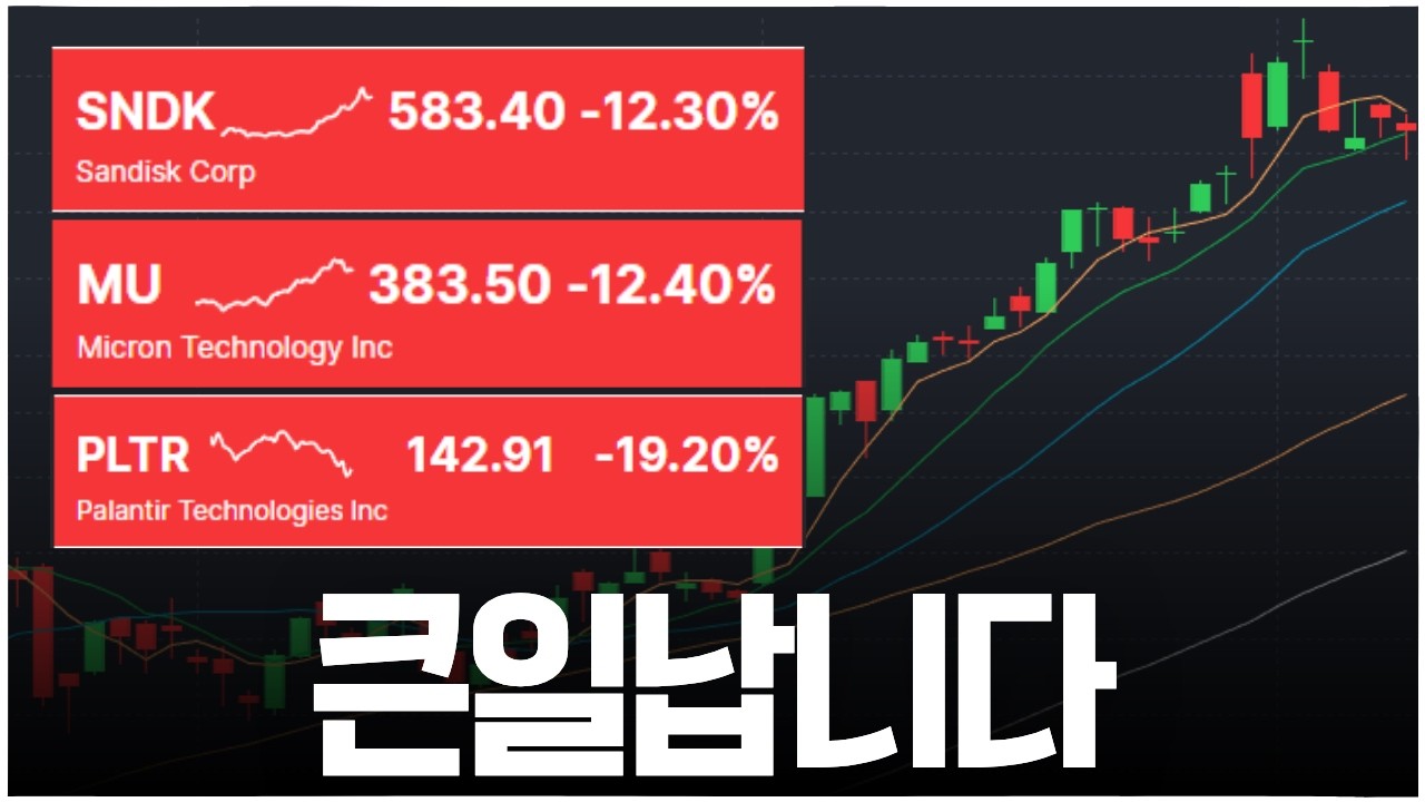 [주린이를 위한 기본기] 언제 사야 할까?, 어디서 사면 물릴까??