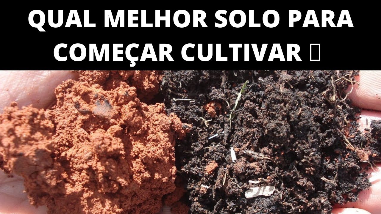 DICAS PARA COME&Ccedil;AR PLANTAR M4CONHA C4NNABIS - QUAL MELHOR SOLO PARA INICIAR? 🍁