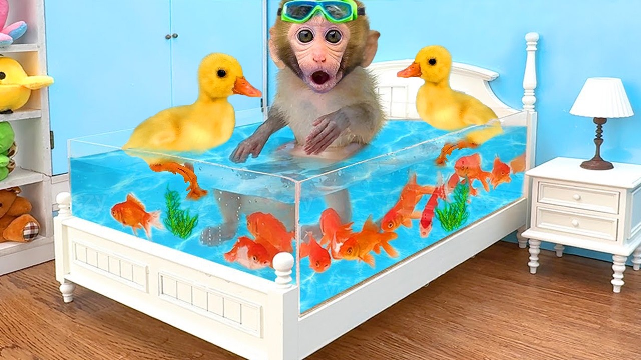 小猴子 Gogo 被彩虹冰淇淋嚇到了🍦🌈| Gogo Monkey Life