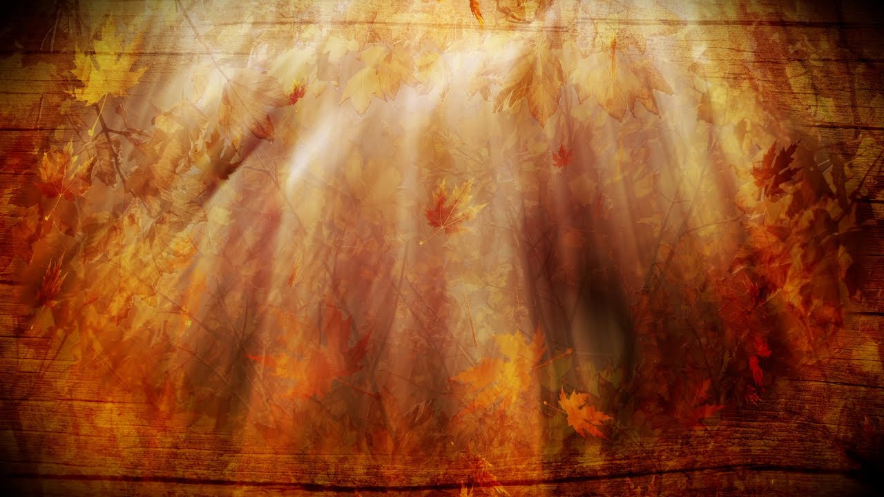 Healing and gratitude a progressive muscular relaxation guided meditation