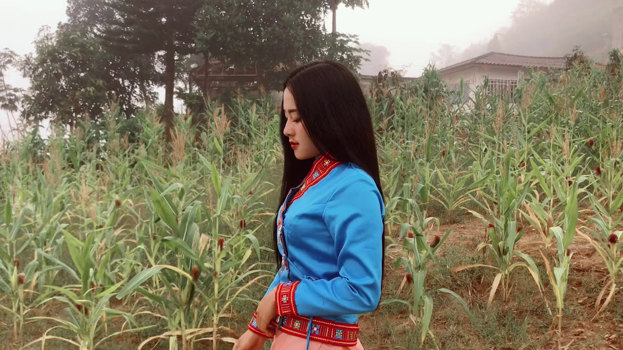 เพลงลาหู่ใหม่ล่าสุดเพราะ