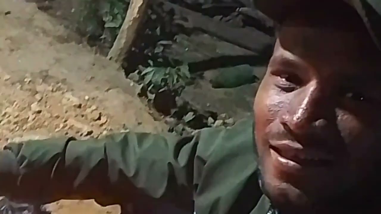 Vlog