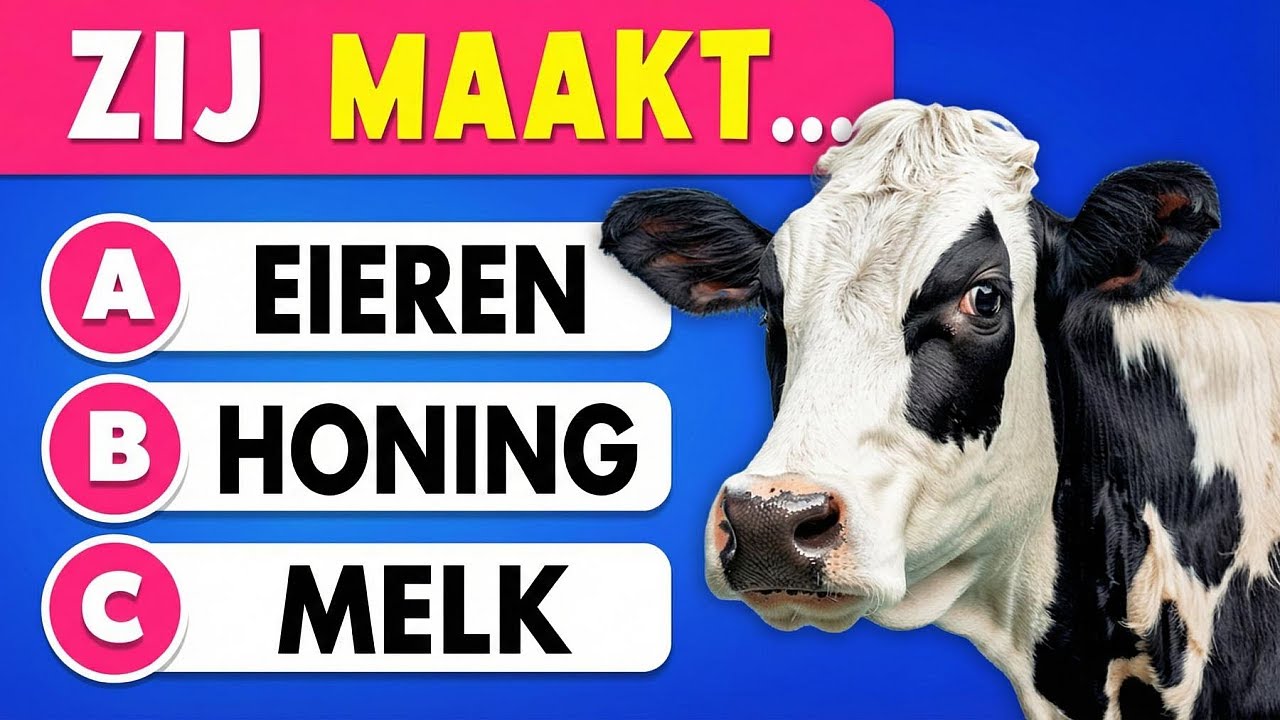 60 Algemene Kennisvragen 🎒📚✅ | Ben jij slimmer dan een leerling uit groep 7?