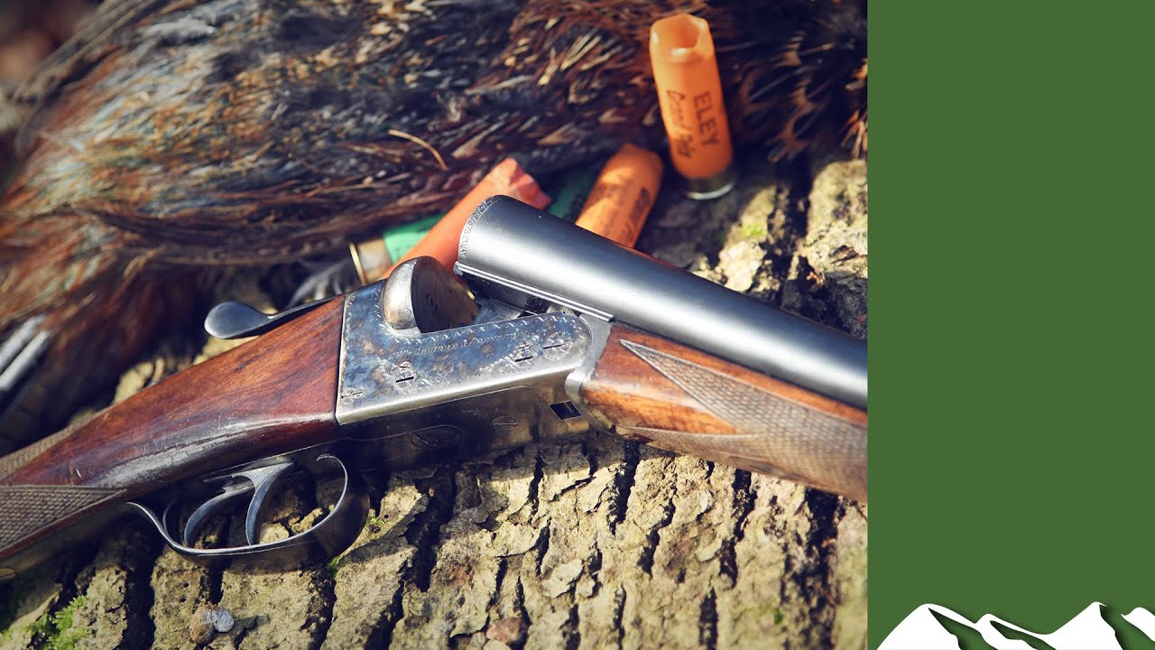 How to shoot and eat a pheasant