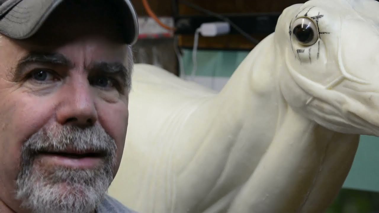 Taxidermy Tech - Eye Shape