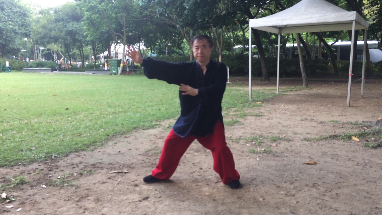 Ba Gua Neigong Exercises