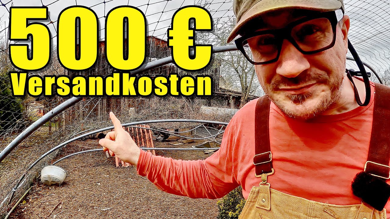 Gewächshaus-Albtraum! 500€ Versandkosten und das alles nur für die Hühner 🤯