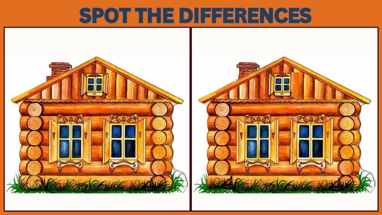 Spot the 3 Differences | 10 Brain Teasers to Test Your IQ