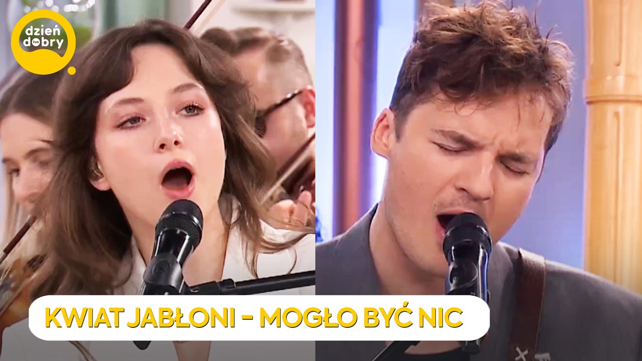 KWIAT JABŁONI - MOGŁO BYĆ NIC | Dzień Dobry TVN