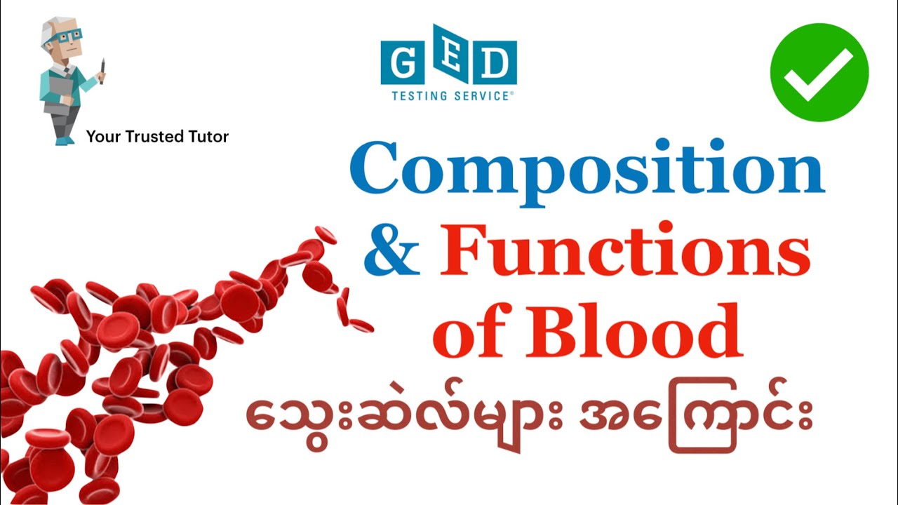 Red blood cells | White blood cells | Composition & Functions of Blood | Hematology GED Science