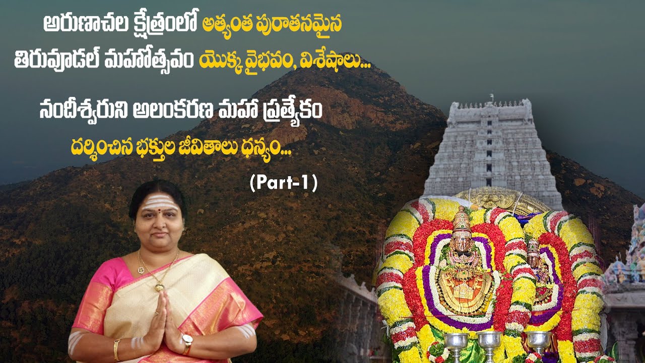 ARUNACHALAM THIRUVUDAL  Mahotsavam  epi 47 ! Arunachala kshetram ! అరుణాచలం !