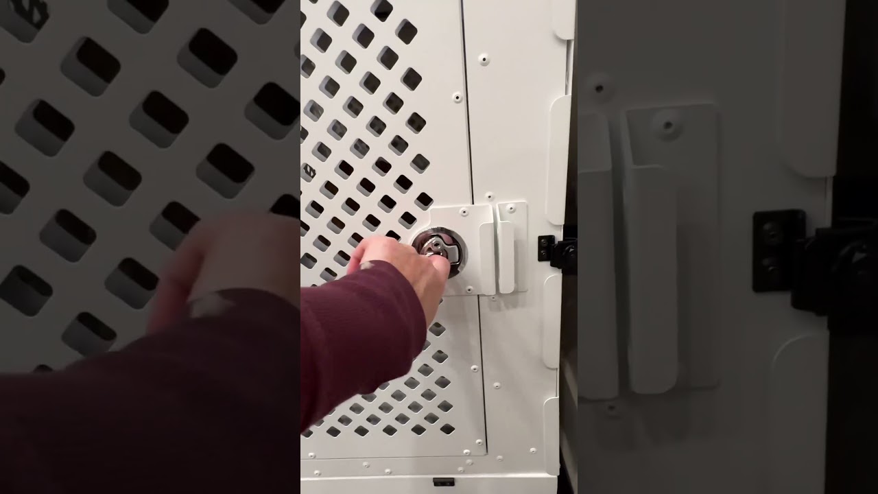 Reasons why crate training can be beneficial: