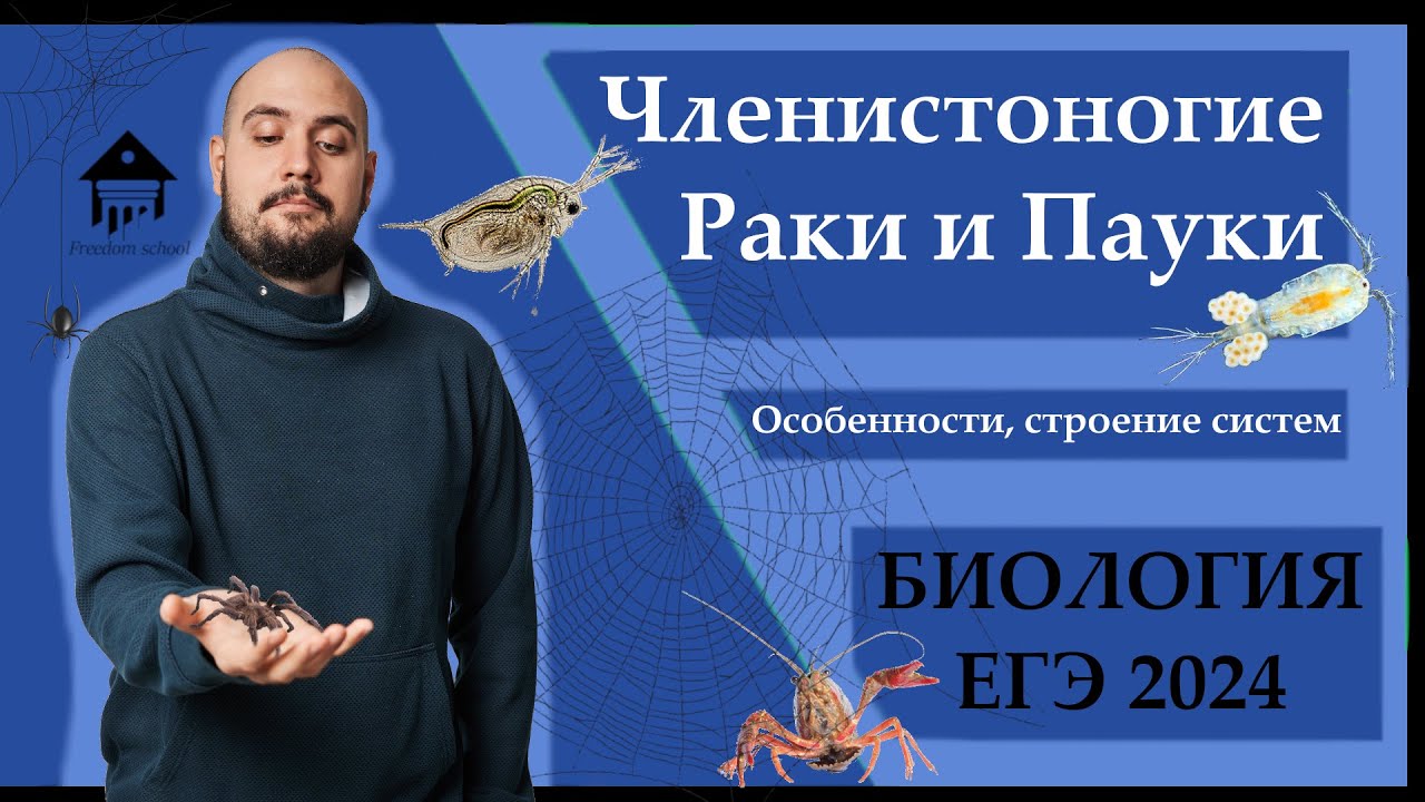 Членистоногие. РАКИ И ПАУКИ для ЕГЭ 2024 |ЕГЭ БИОЛОГИЯ|Freedom|