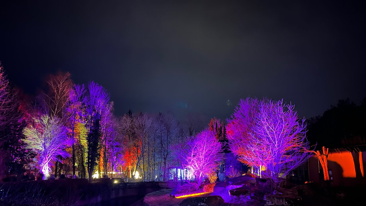 Christmas Garden Augsburg