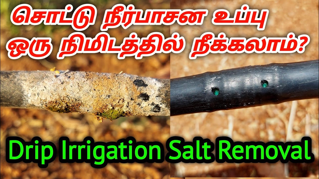 சொட்டு நீர்பாசன பைப் உப்பு நீக்கும் முறை | Drip Irrigation Salt Removal Method
