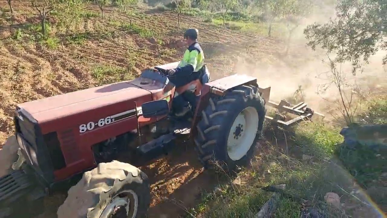 L.M   ya estan los Almendros labrados     ahora que llueva 🇪🇸🌾🌳😊🚜