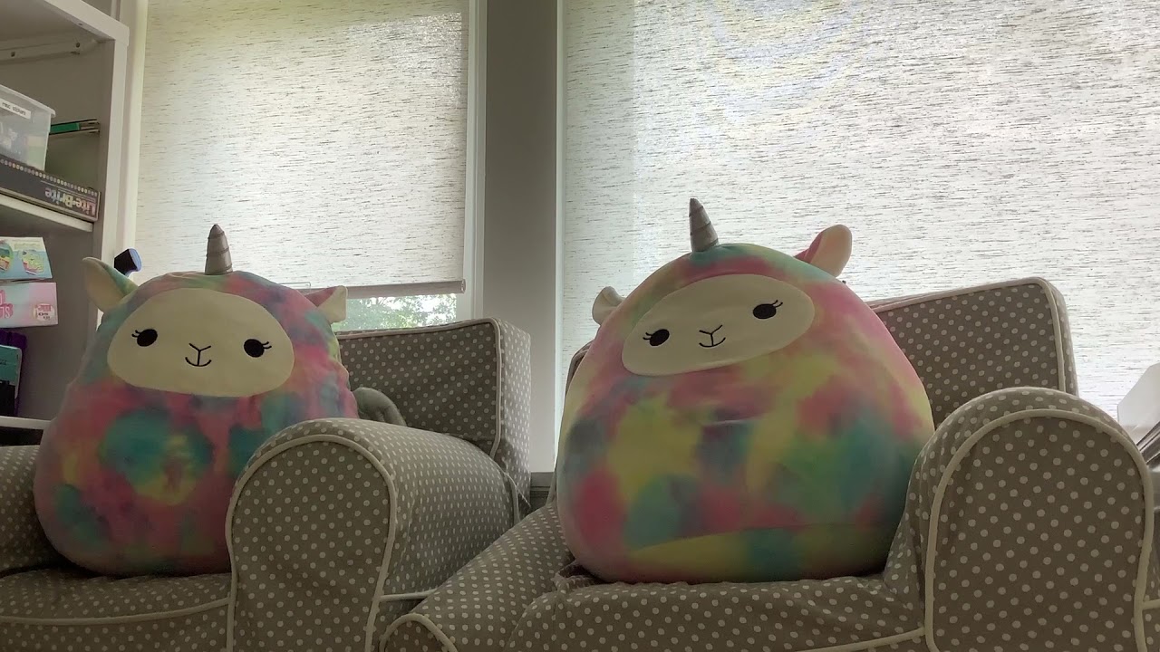 IT&rsquo;S SQUISHY DAY