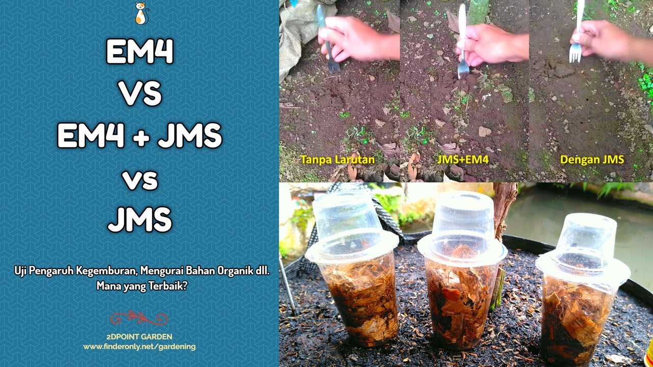 JMS vs EM4 Lebih Hebat Mana? Kelebihan & Kekurangan JMS / EM4