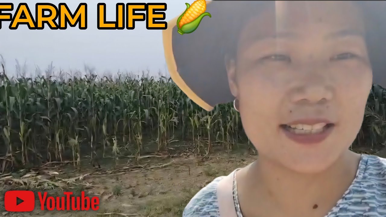 🌽 Family day at the Corn Farm | Making memories in the Fields | Mowe&gigi 