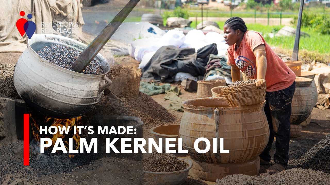 How Cooking Oil is Made in Ghana | Palm Kernel Oil