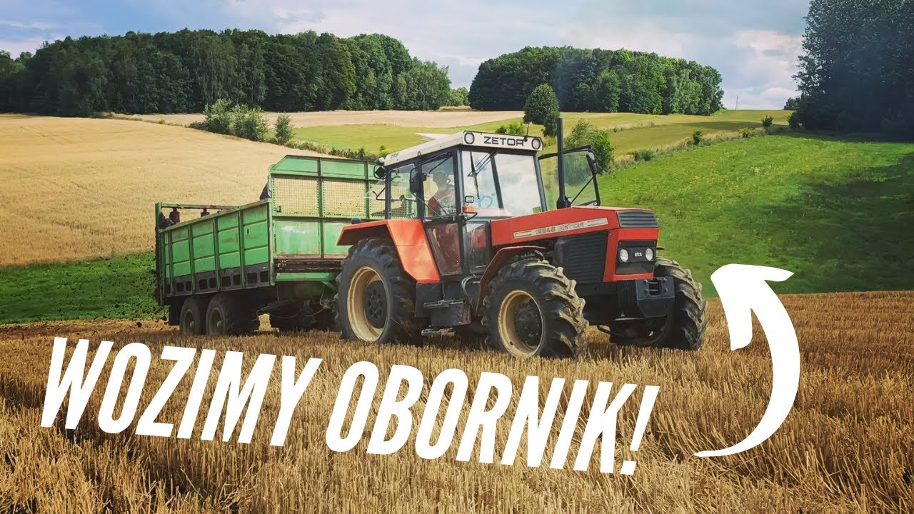 Wozimy obornik! Zetor 12245 vs rozrzutnik Fortschritt T088.