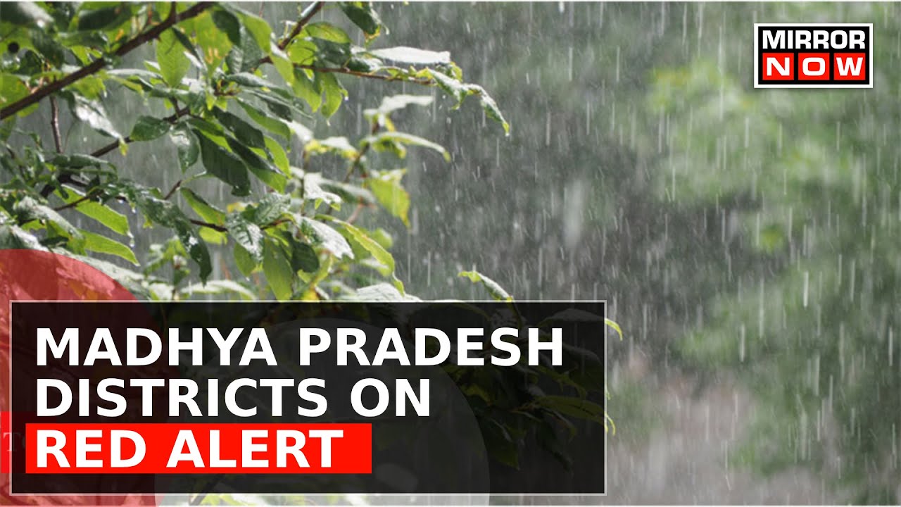 Madhya Pradesh On Red Alert | Heavy Rains Wreak Havoc, Roads Flooded, Houses Washed&nbsp;Away&nbsp;|&nbsp;Top&nbsp;News