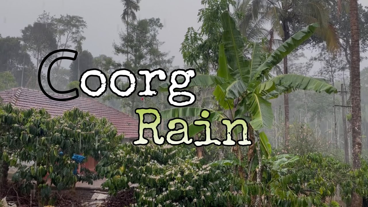 Relaxing Coorg Rain - Thunderstorm & Rain