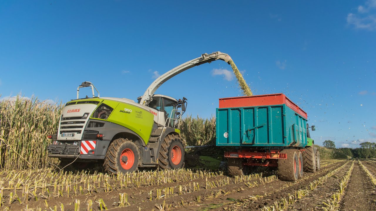 Ensilage de maïs 🌽🌽 | UNE GROSSE EQUIPE DEUTZ-FAHR & UNE CLAAS JAGUAR 950 & ORBIS 600SD 💪