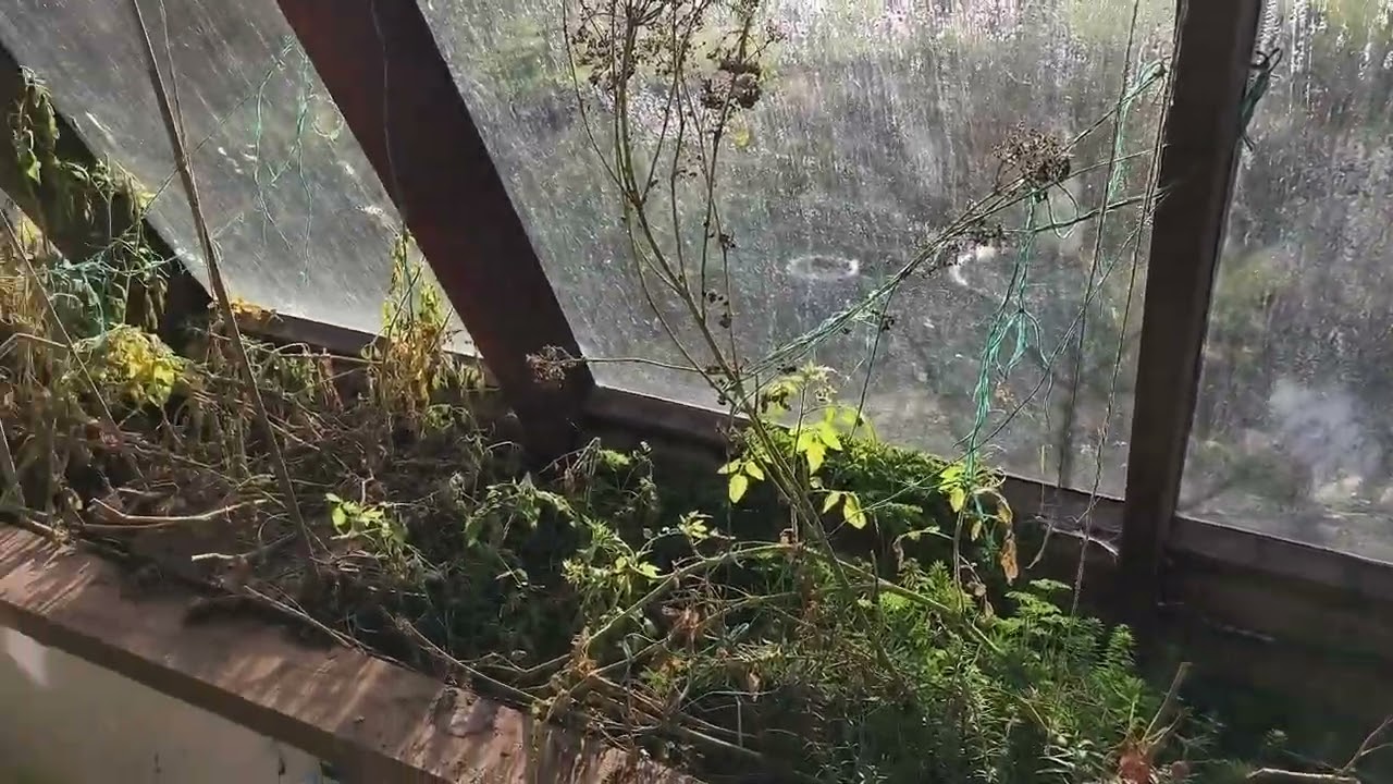 Earthship style grey water recycling at Lackan