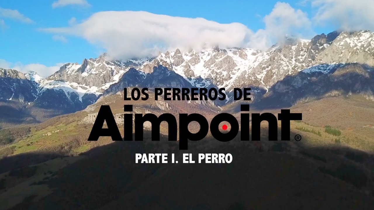 Los Perreros de Aimpoint Cap I 