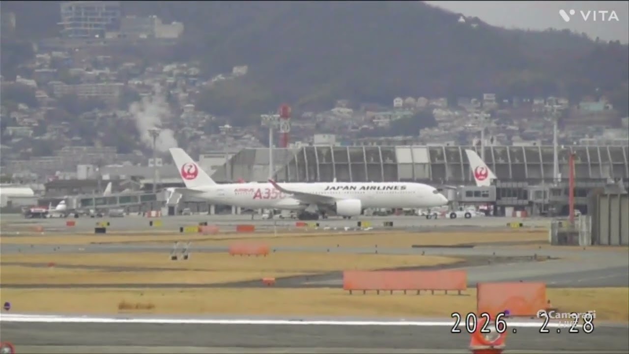 JAL A350🔴タヌキの離着陸👍😊　#伊丹空港 #千里川土手#A350　2026.02.28