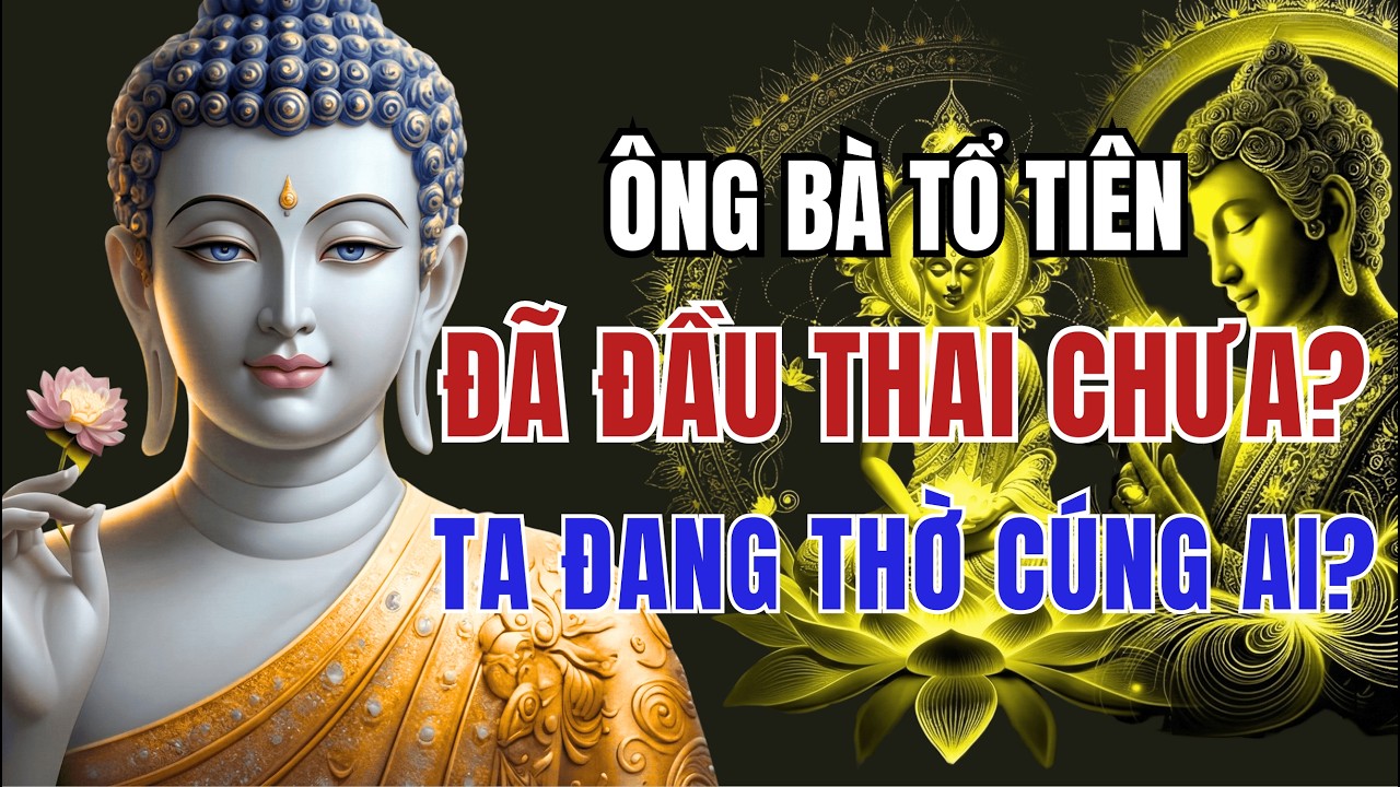 Ông Bà Tổ Tiên Đã Đầu Thai Chưa? Ta Đang Thờ Cúng Ai? Đức Phật Tiết Lộ Sự Thật!!!