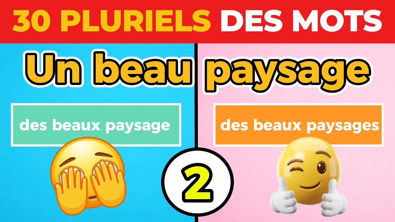 📚 Quiz le pluriel des noms et adjectifs (CM1 - CM2 et 6e) | 30 questions 😊