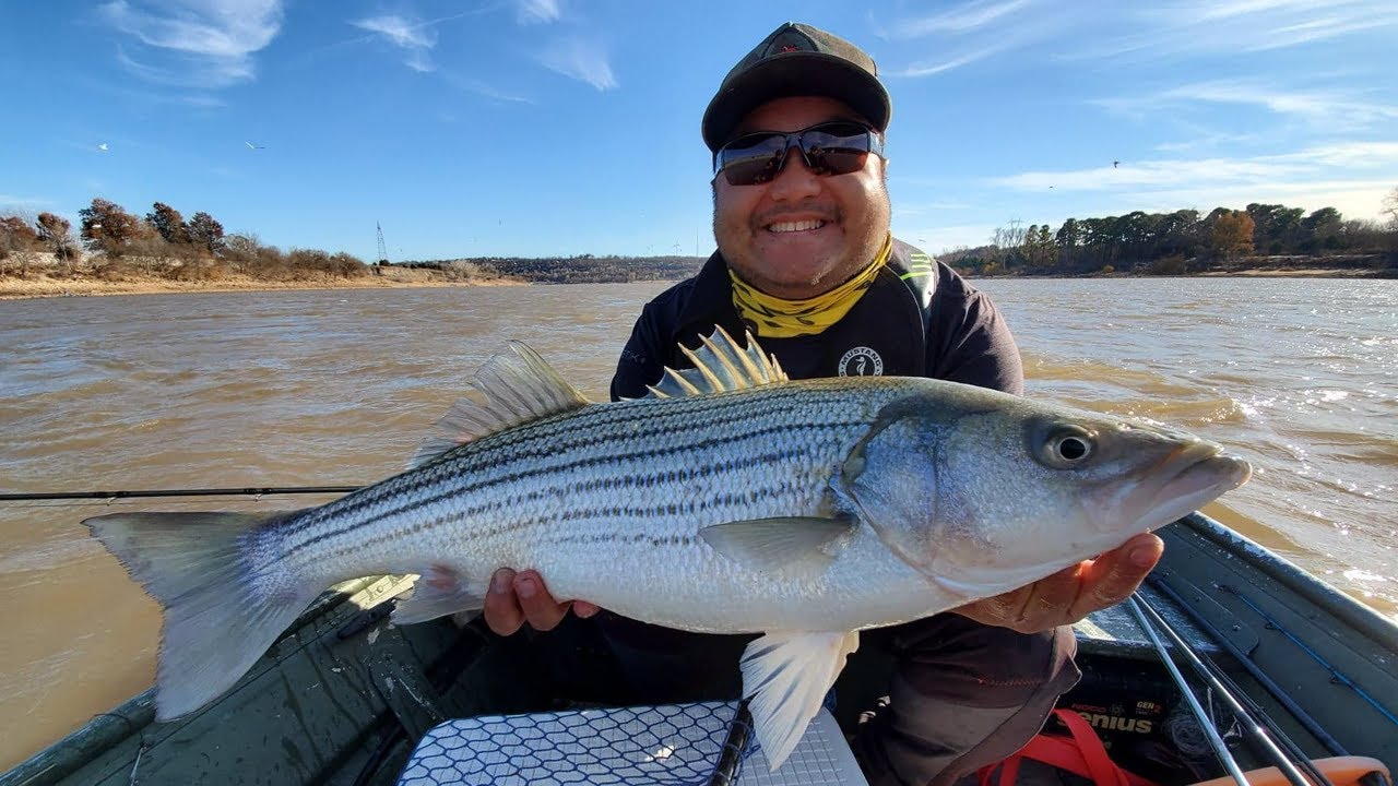 Мой ТОП-5 полосатых приманок 2019 года для соленой и пресной воды — OOW Outdoors