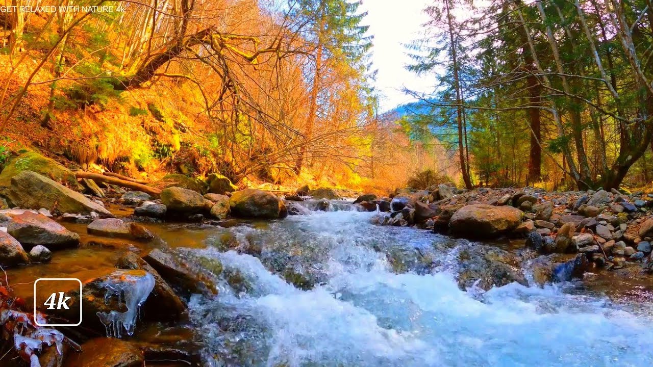 Golden Hour Gentle Mountain Stream River | 4K HDR Flowing Water Nature Ambience for Sleep & Focus