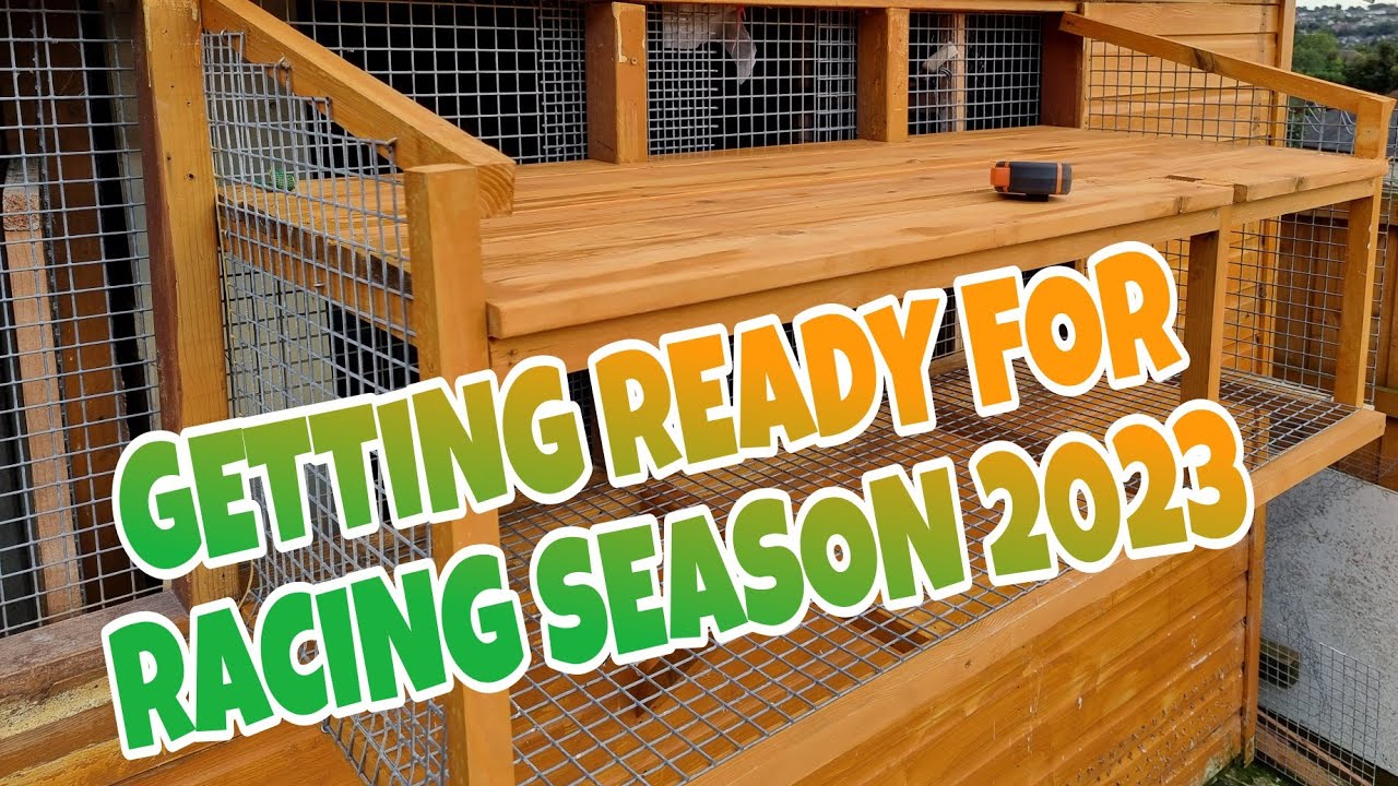 I HOPE THIS IS BETTER FOR THE BIRDS|PIGEON RACING UK|PIGEON SMALL AVIARY