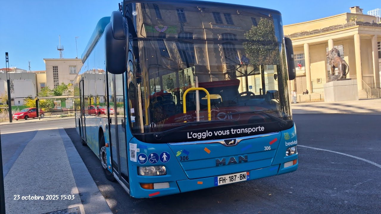 C Mercorent