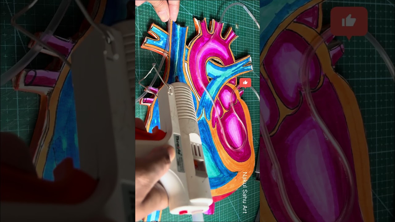 heart working model | science fair project 3D science working model using syringe #shortsfeed