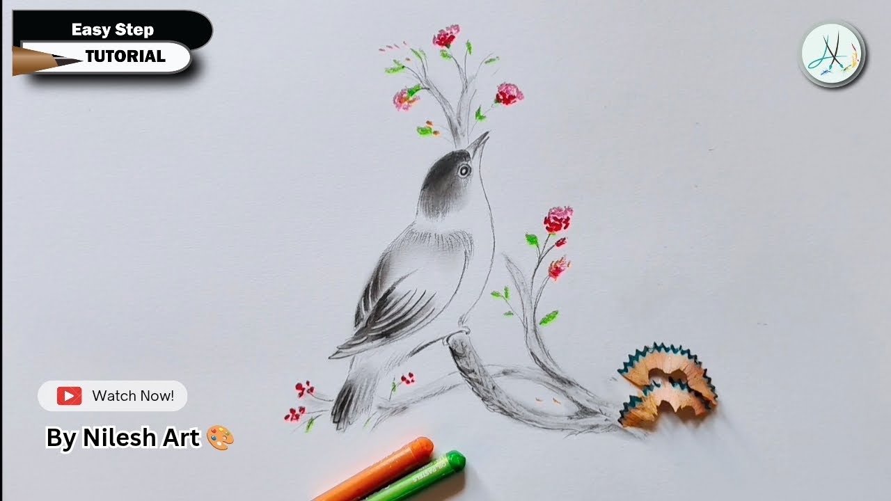 How to draw very easy bird pencil sketch for beginners II #bird #birdvideo #birdshorts #birddrawing