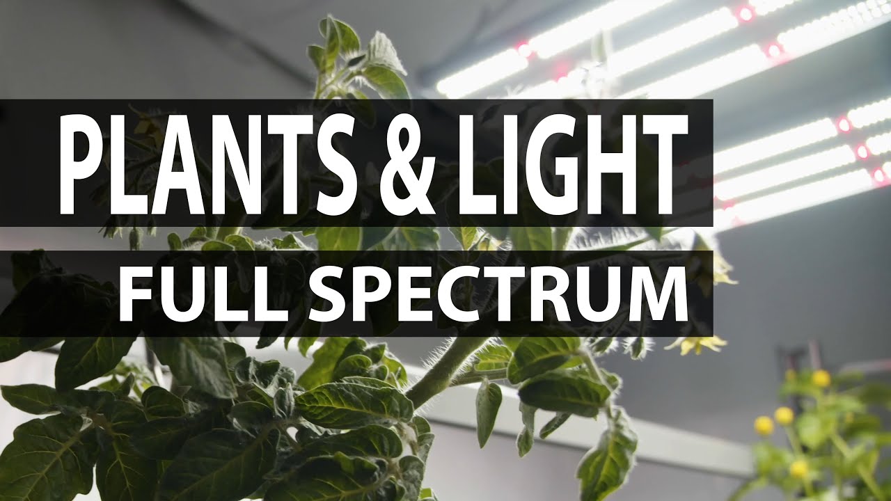 Full Spectrum Grow Lights : Plants & Light #201