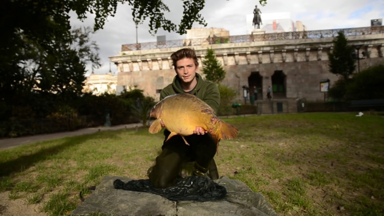 - Street Fishing Carpe : Paris sous la Seine -