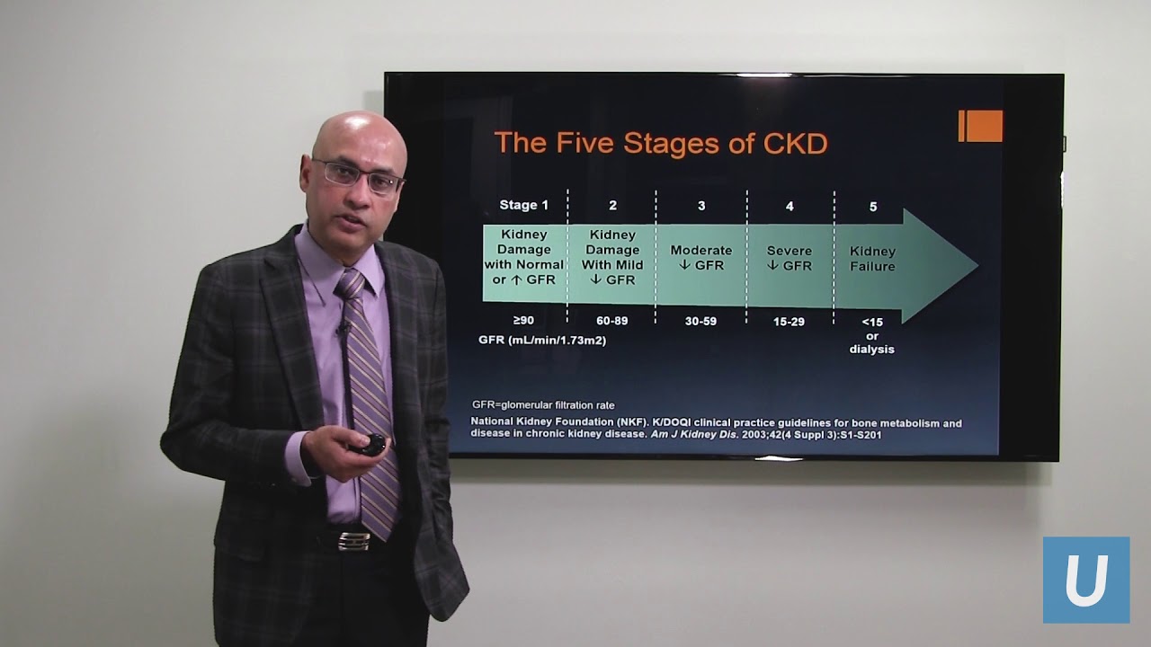 Peritoneal Dialysis | Anjay Rastogi, MD, PhD | UCLAMDChat
