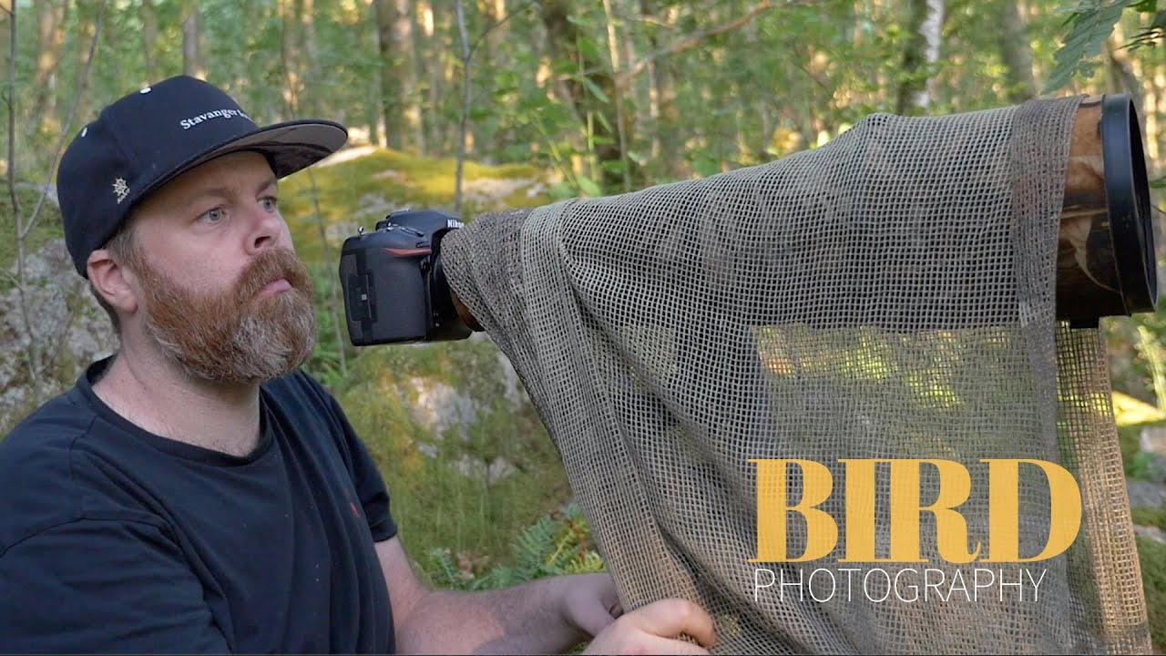 Unconditional love of a father || BIRD PHOTOGRAPHY in the forest - woodpecker