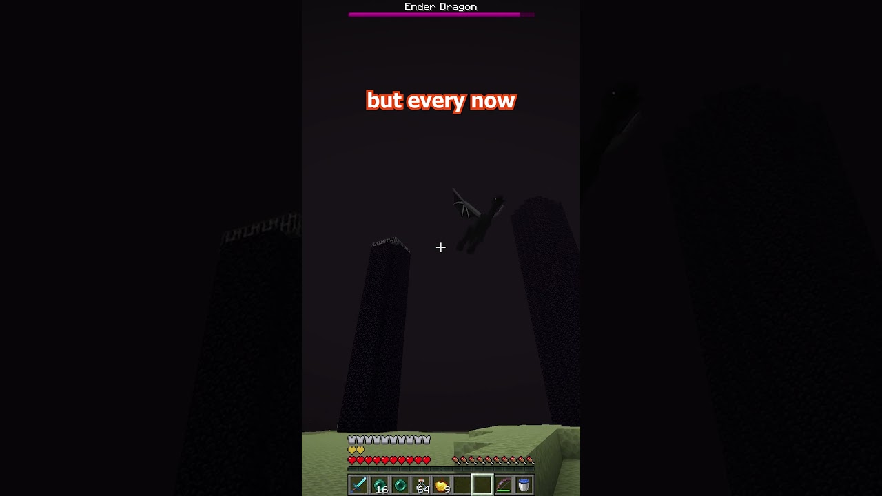 the SAFEST way to kill the ender dragon! #minecraft
